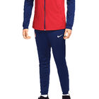 Pantal&oacute;n Entrenamiento Nike